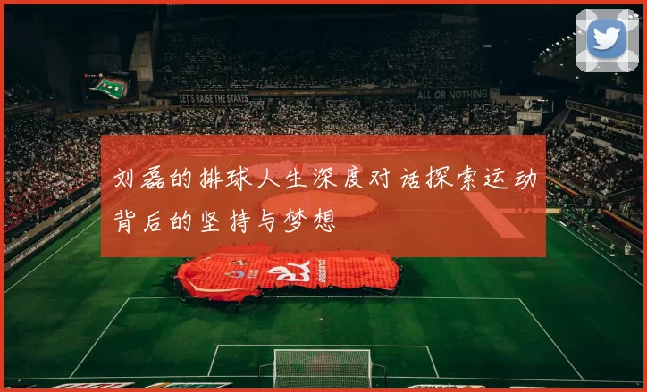 刘磊的排球人生深度对话探索运动背后的坚持与梦想