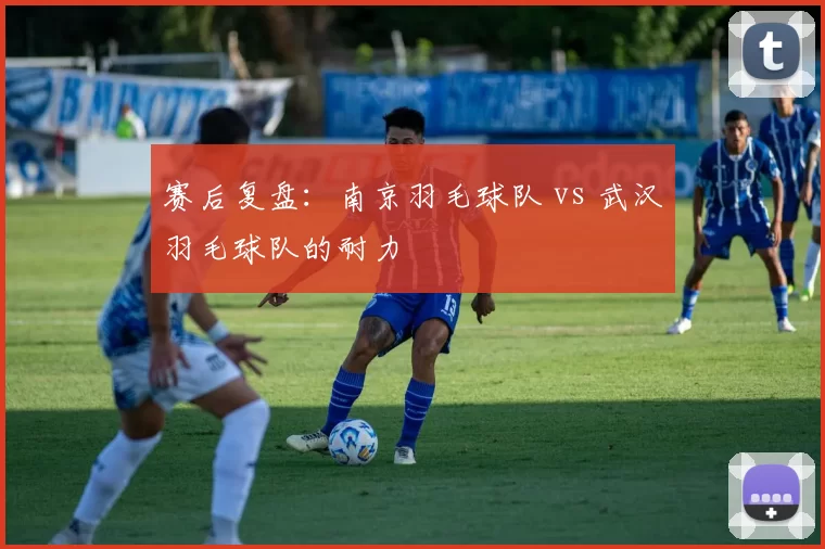 赛后复盘：南京羽毛球队 vs 武汉羽毛球队的耐力