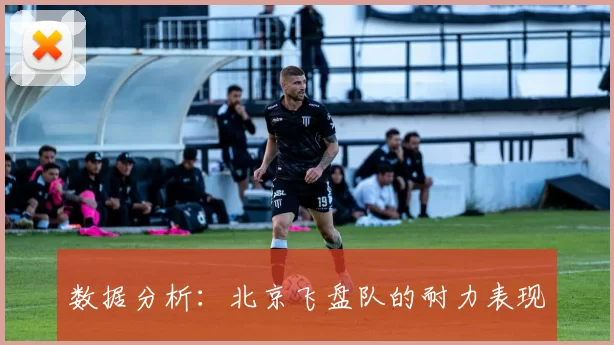 数据分析：北京飞盘队的耐力表现