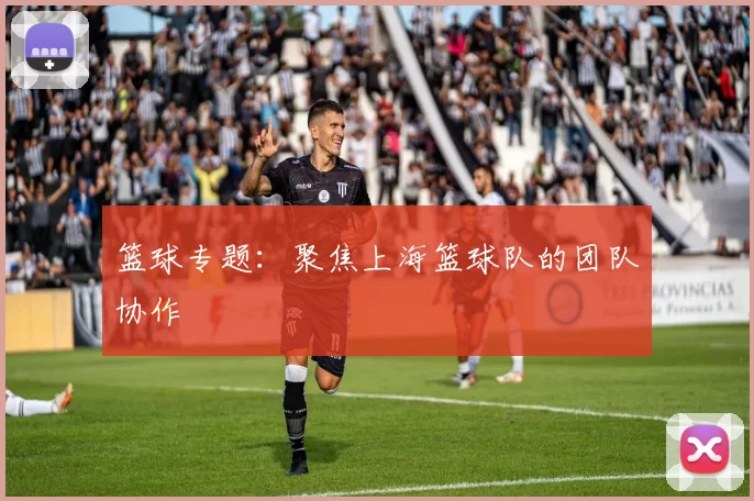 篮球专题：聚焦上海篮球队的团队协作