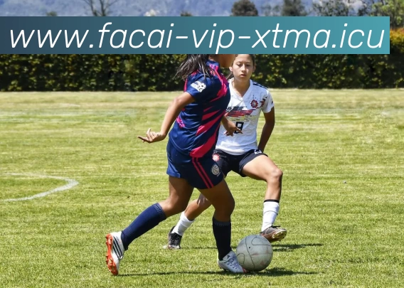 乐鱼体育发展历程